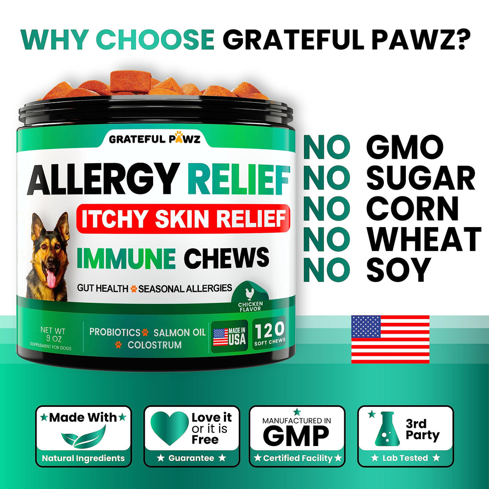 Grateful Pawz dog allergy chews with quercetin for seasonal comfort.