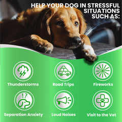 Grateful Pawz dog sleep aid treats shown for relaxed evenings.