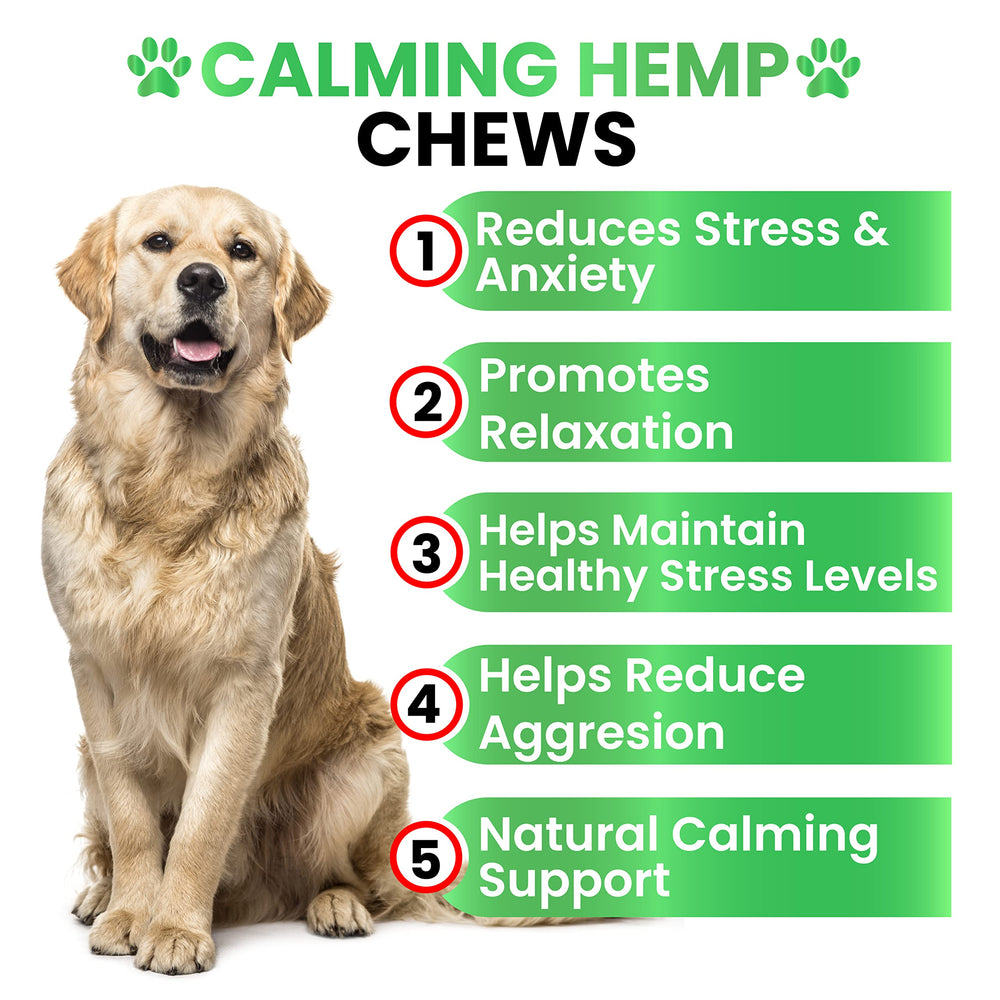 Grateful Pawz dog treats anxiety relief during stressful car rides.