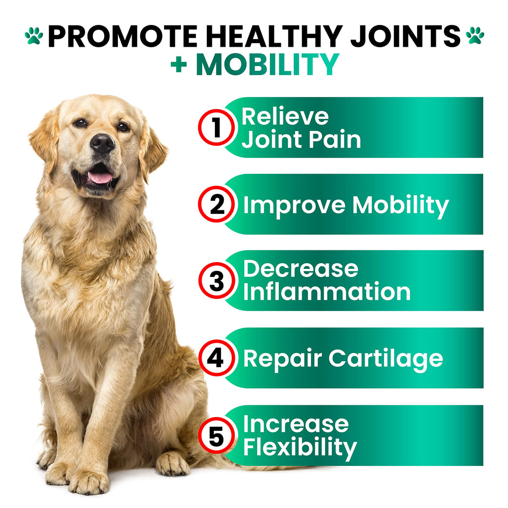 Grateful Pawz dog treats glucosamine chondroitin closeup emphasizes tasty, vet-backed joint care.
