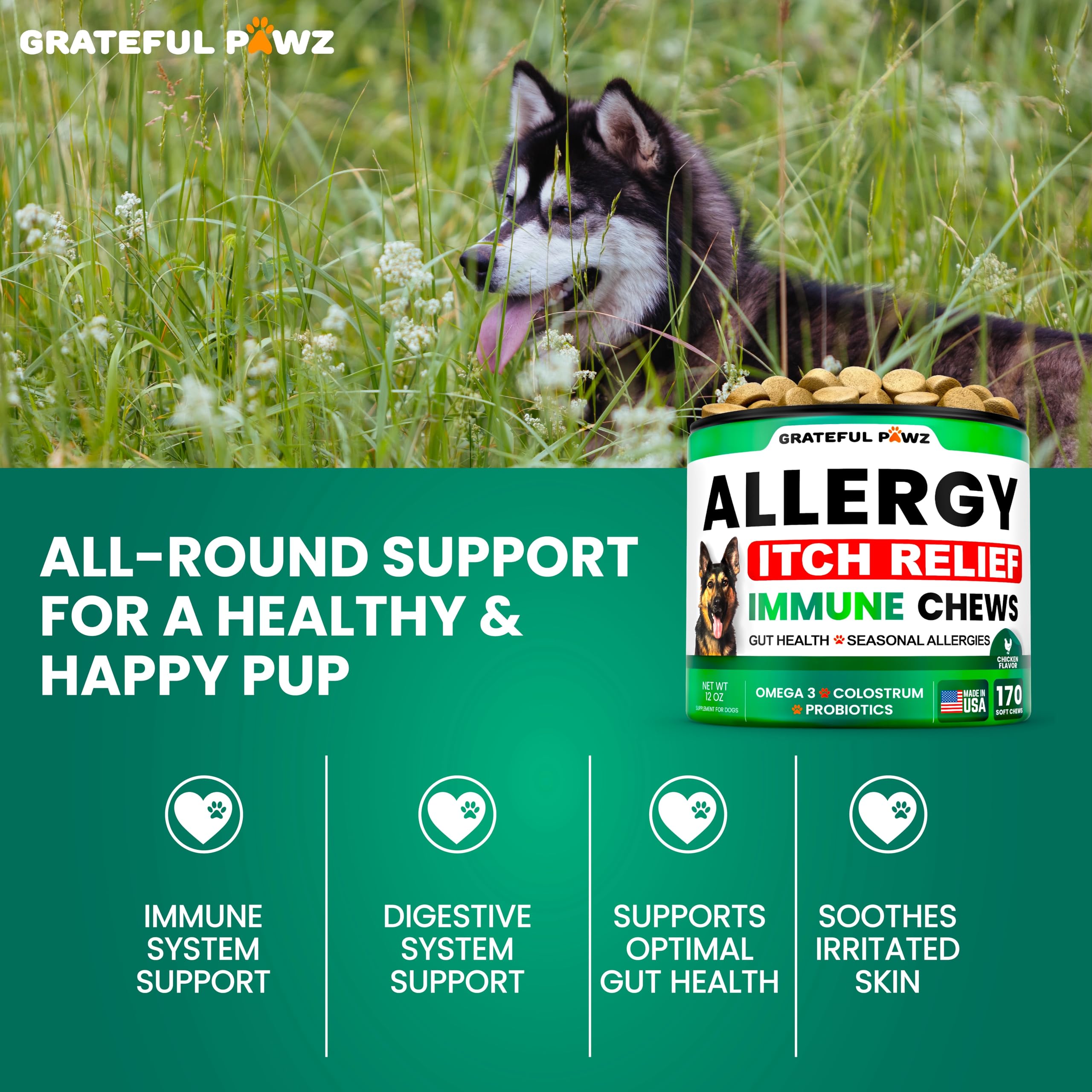 Grateful Pawz dry skin coat support chews image focusing on a healthy coat and skin comfort.