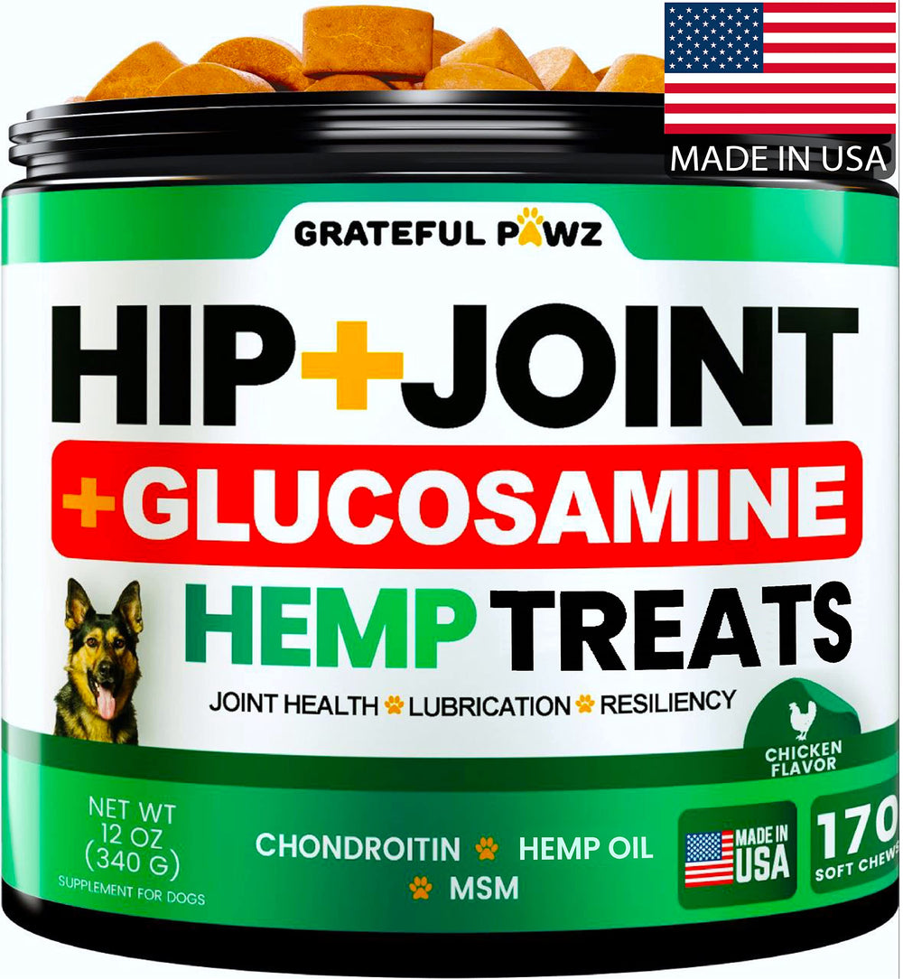 Grateful Pawz hemp hip and joint supplement bottle pose highlights canine joint support and easy daily use.
