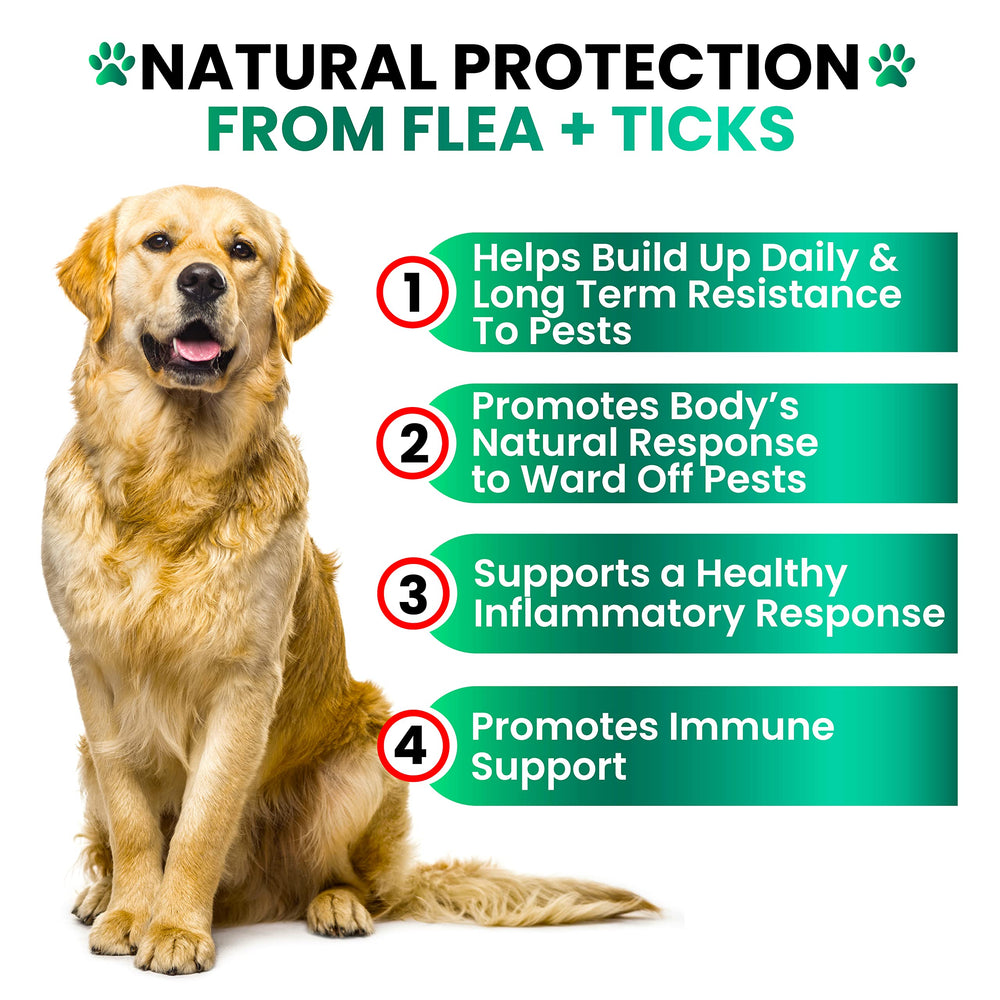 Grateful Pawz bottle emphasizes natural ingredients for dogs.