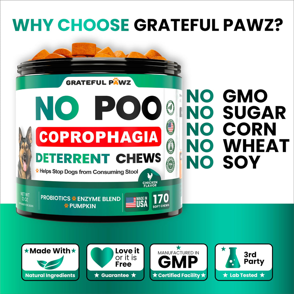 Grateful Pawz No Poo Chews dog taking chew — daily use may reduce stool-eating interest.