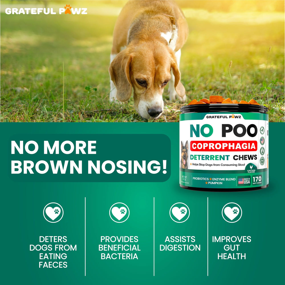 Grateful Pawz No Poo Chews label detail — probiotic and enzyme blend supports healthy gut flora.