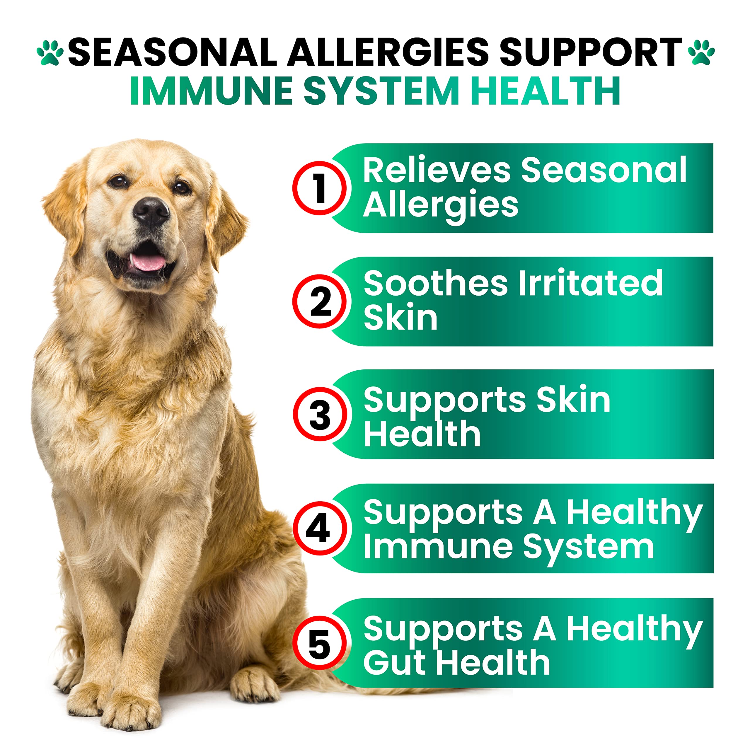 Grateful Pawz probiotics for dogs chews image emphasizing gut health support.
