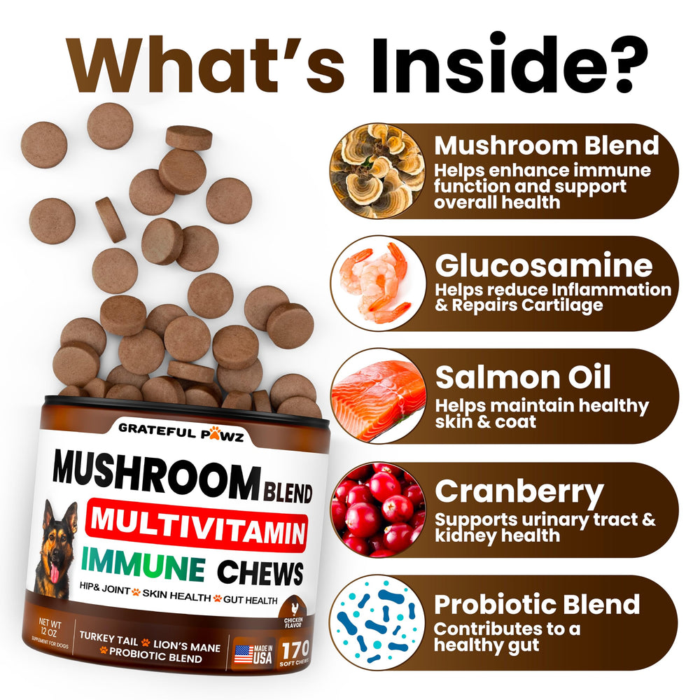 Grateful Pawz Reishi Lion's Mane dog chews closeup for cognitive and joint support