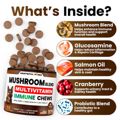 Grateful Pawz Reishi Lion's Mane dog chews closeup for cognitive and joint support