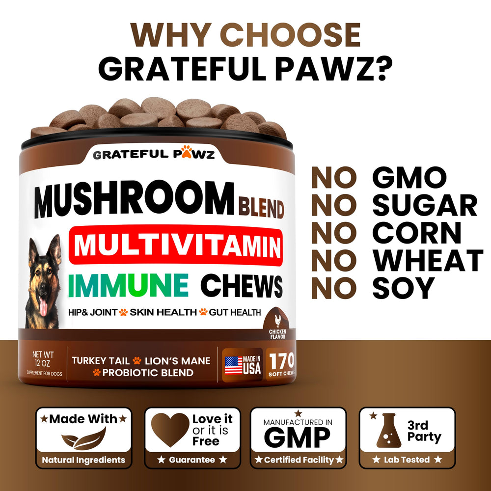 Grateful Pawz Six-probiotic blend dog supplement closeup supporting gut balance