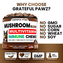 Grateful Pawz Six-probiotic blend dog supplement closeup supporting gut balance