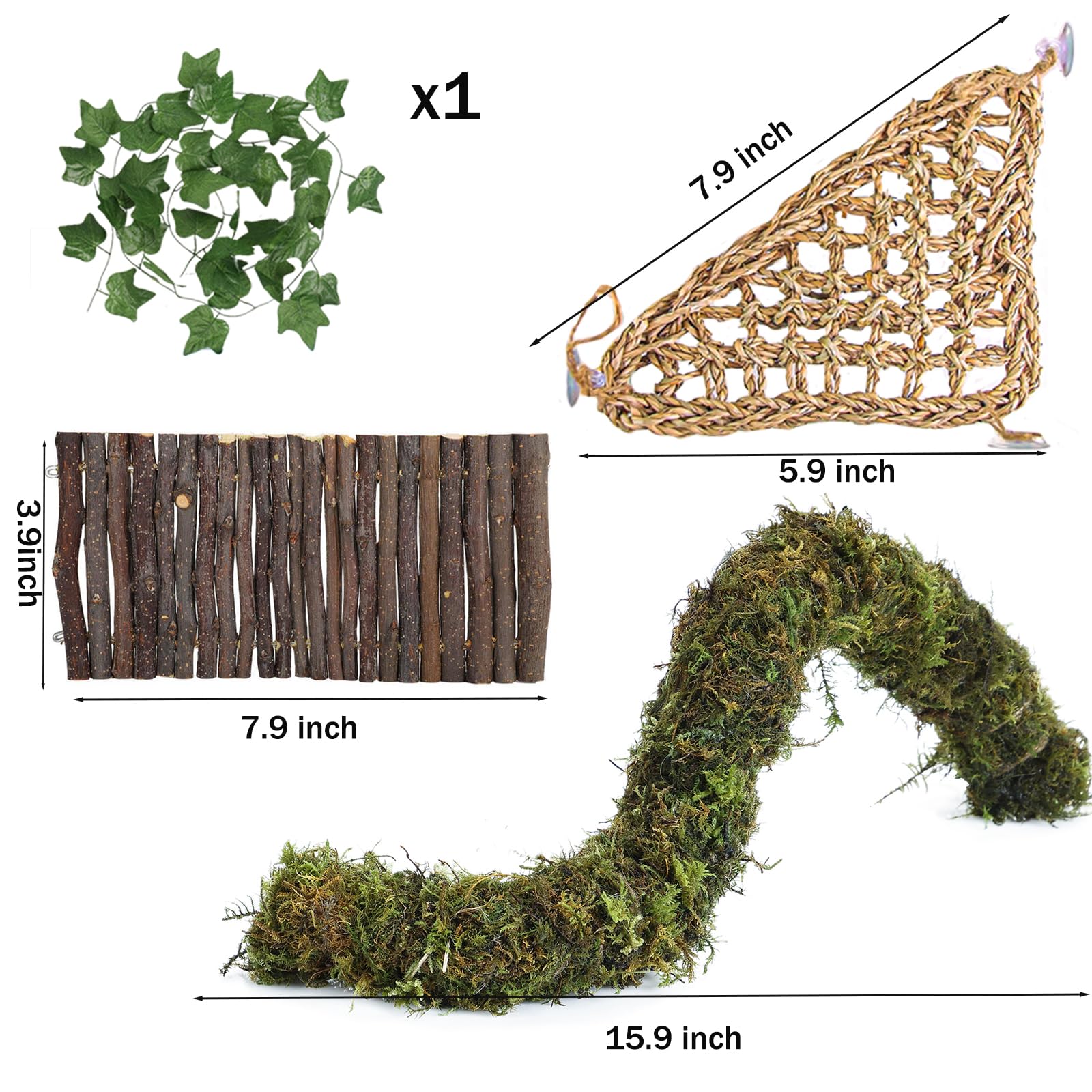 Grddaef compact enclosure setup demonstrates space saving habitat enhancement.