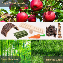 Grddaef grass woven carrot—interactive foraging and playtime.