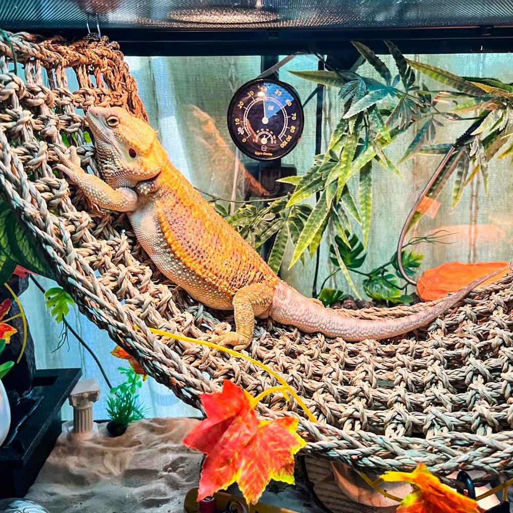 Grddaef jungle vines give flexible climbing decor and natural interest.
