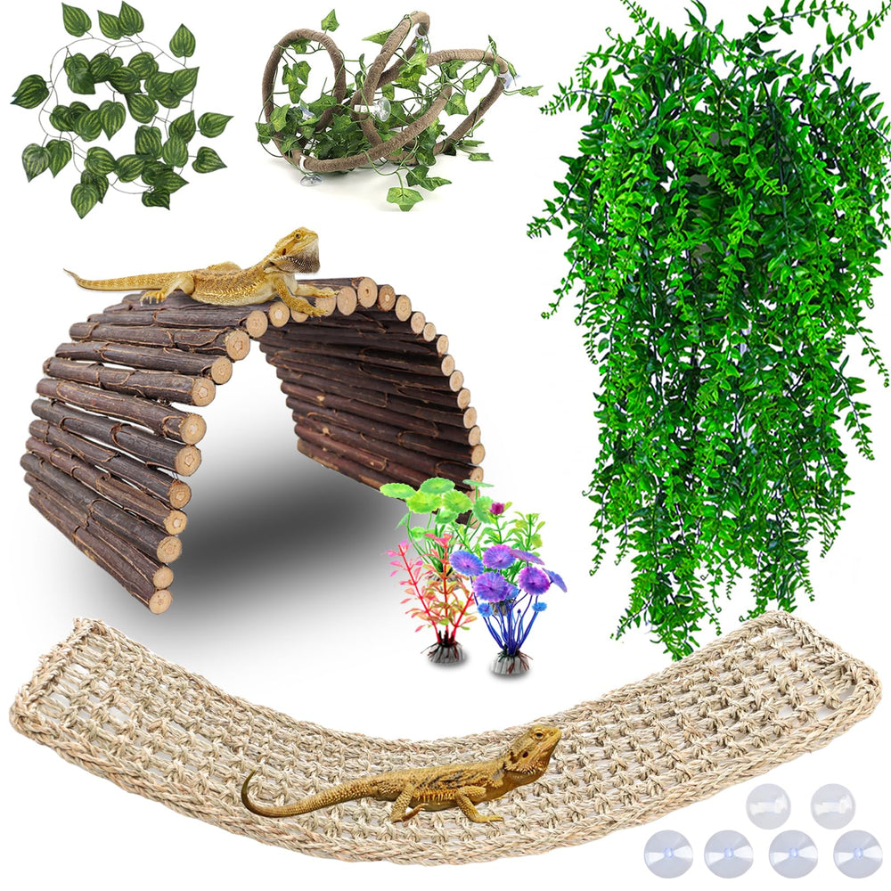 Grddaef reptile bridge offers sturdy wooden perch for basking and exploration.