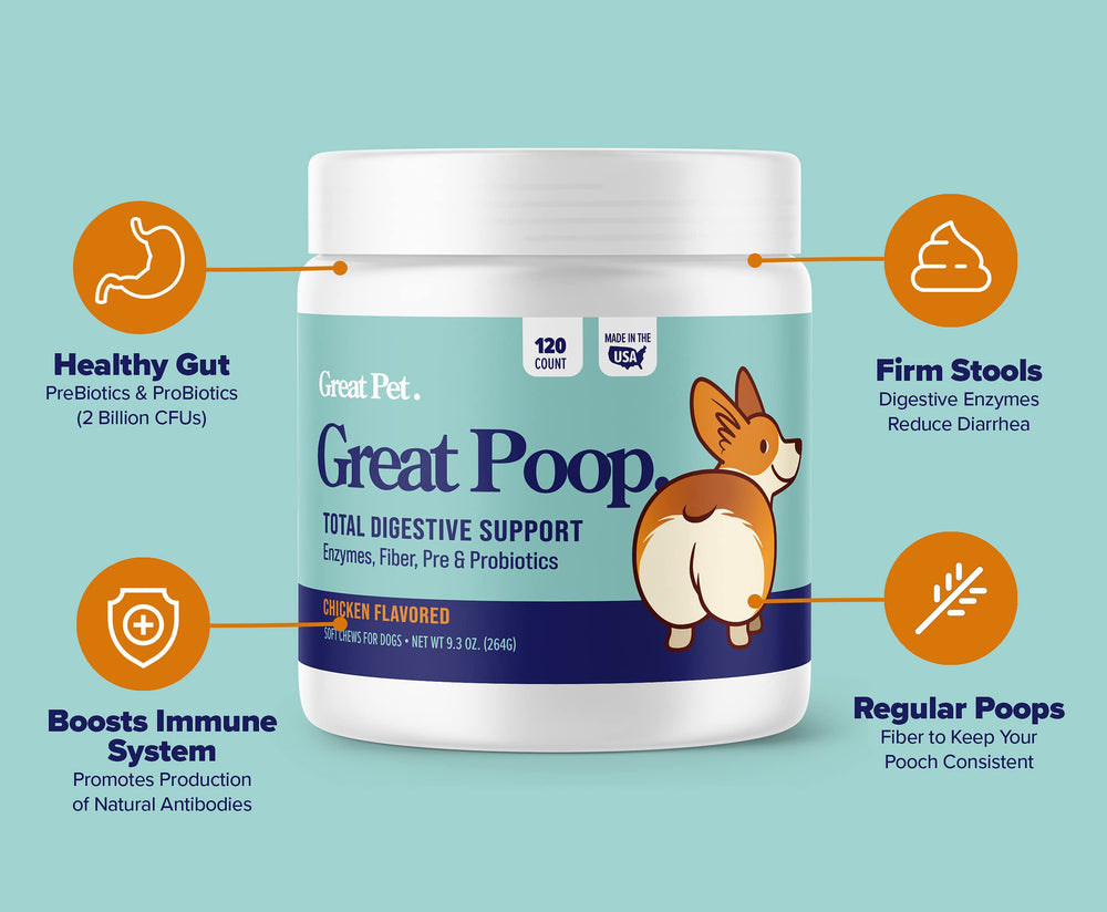 Great Poop Probiotics dog chews in chicken flavor for tasty gut support.