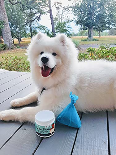 Dog enjoys a Great Poop Probiotics chew, illustrating palatability and routine use.