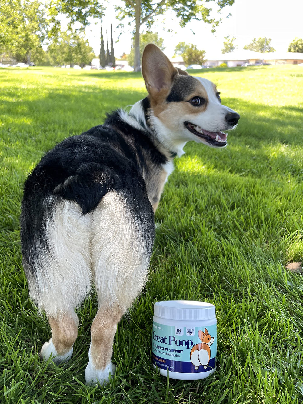 Ingredients like flaxseed and oats emphasize fiber and omega-3 in Great Poop Probiotics.