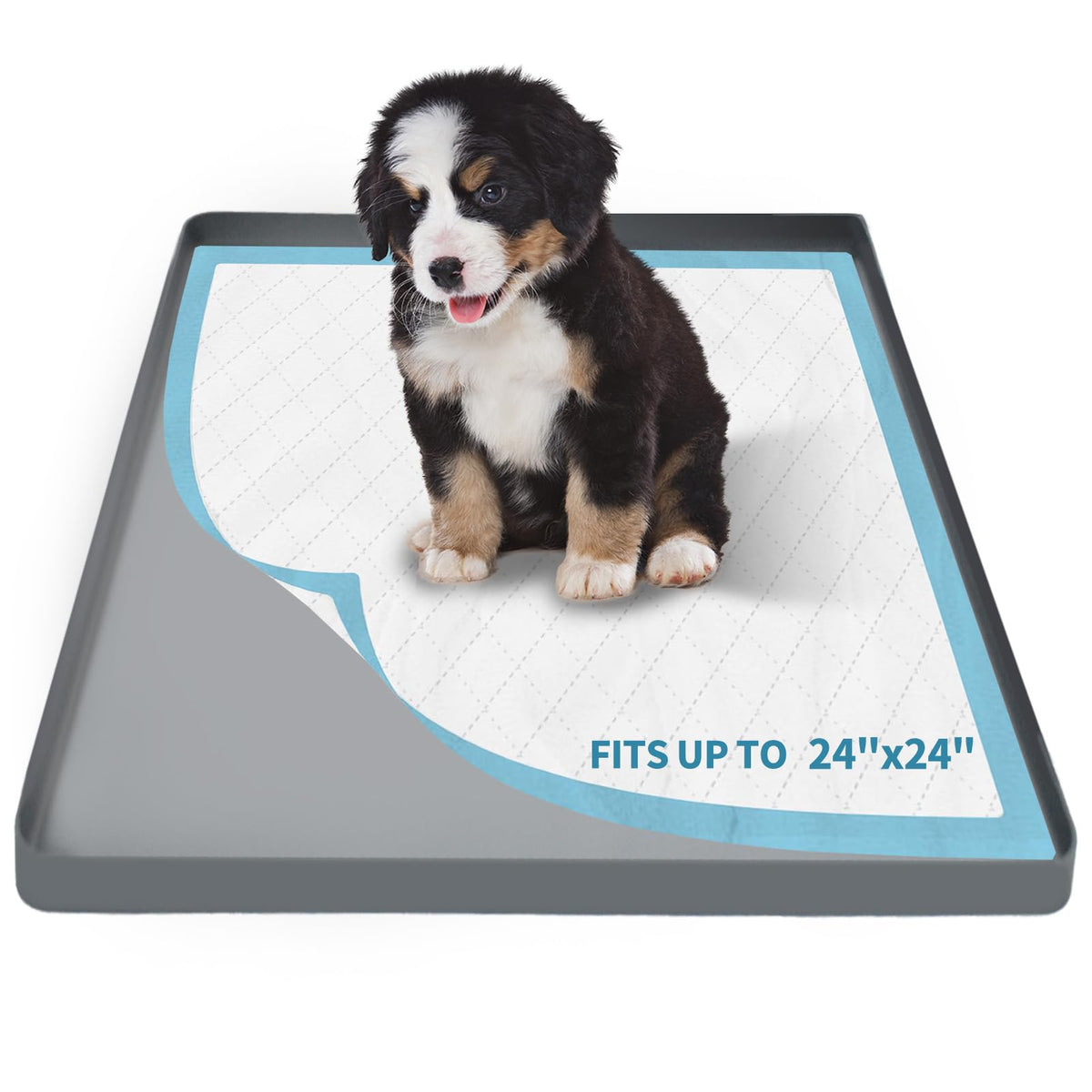 Greatbond pee pad holder 24x24 tray secures pads for leak-free training