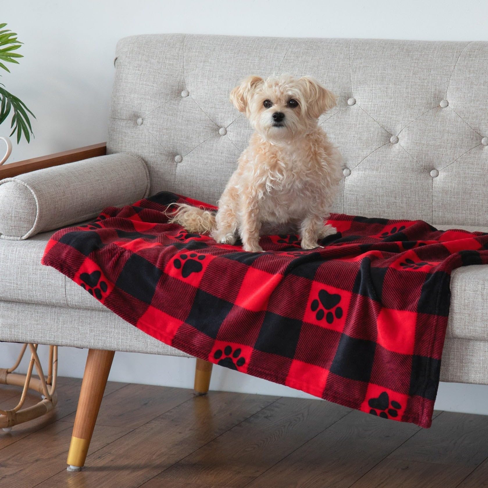 GreaterGood pet blanket close-up highlights plush, ultra-soft fleece and comfort.