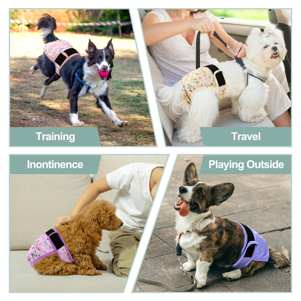 Grecle five-pack design supports convenient travel and mess-free routines