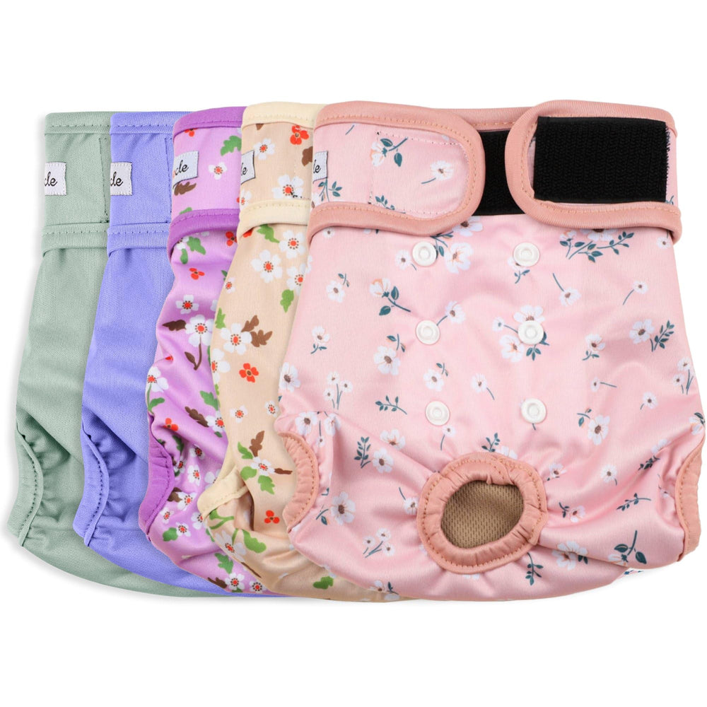 Grecle female dog diapers pack in floral XL is reusable for long-term comfort