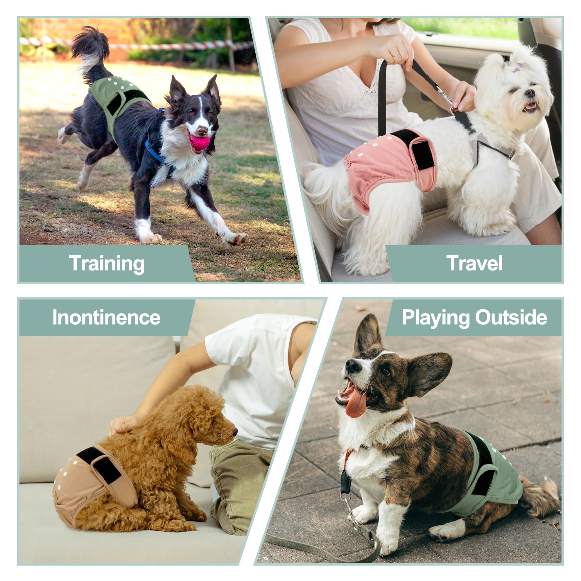 Grecle reusable dog diaper ideal for in-heat days and daily house training