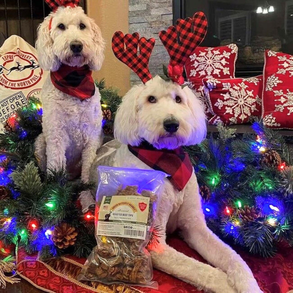 Green Butterfly Brands beef dog treats close-up showing crunchy texture for rewarding training.