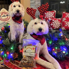Green Butterfly Brands beef dog treats close-up showing crunchy texture for rewarding training.