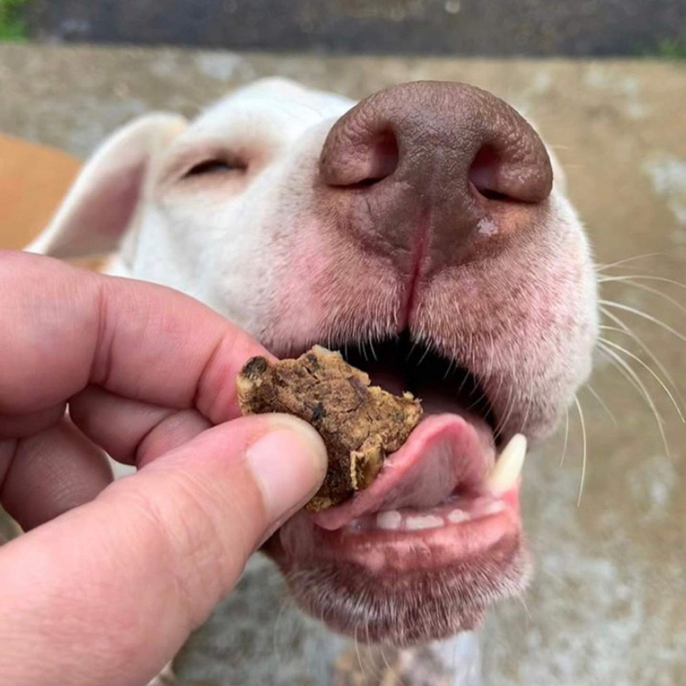 Green Butterfly Brands beef dog treats made in USA label signals domestic production.