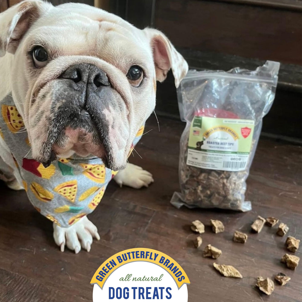 Green Butterfly Brands beef dog treats serving-size pieces for training sessions.