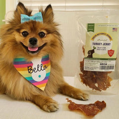 Green Butterfly Brands single-ingredient jerky pack emphasizing pure turkey for sensitive tummies.