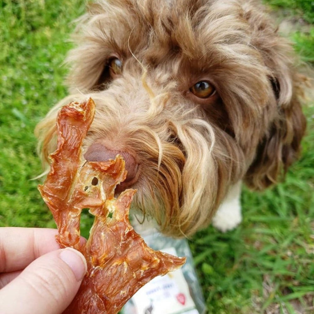 Green Butterfly Brands premium turkey jerky for dogs and cats as tasty rewards.