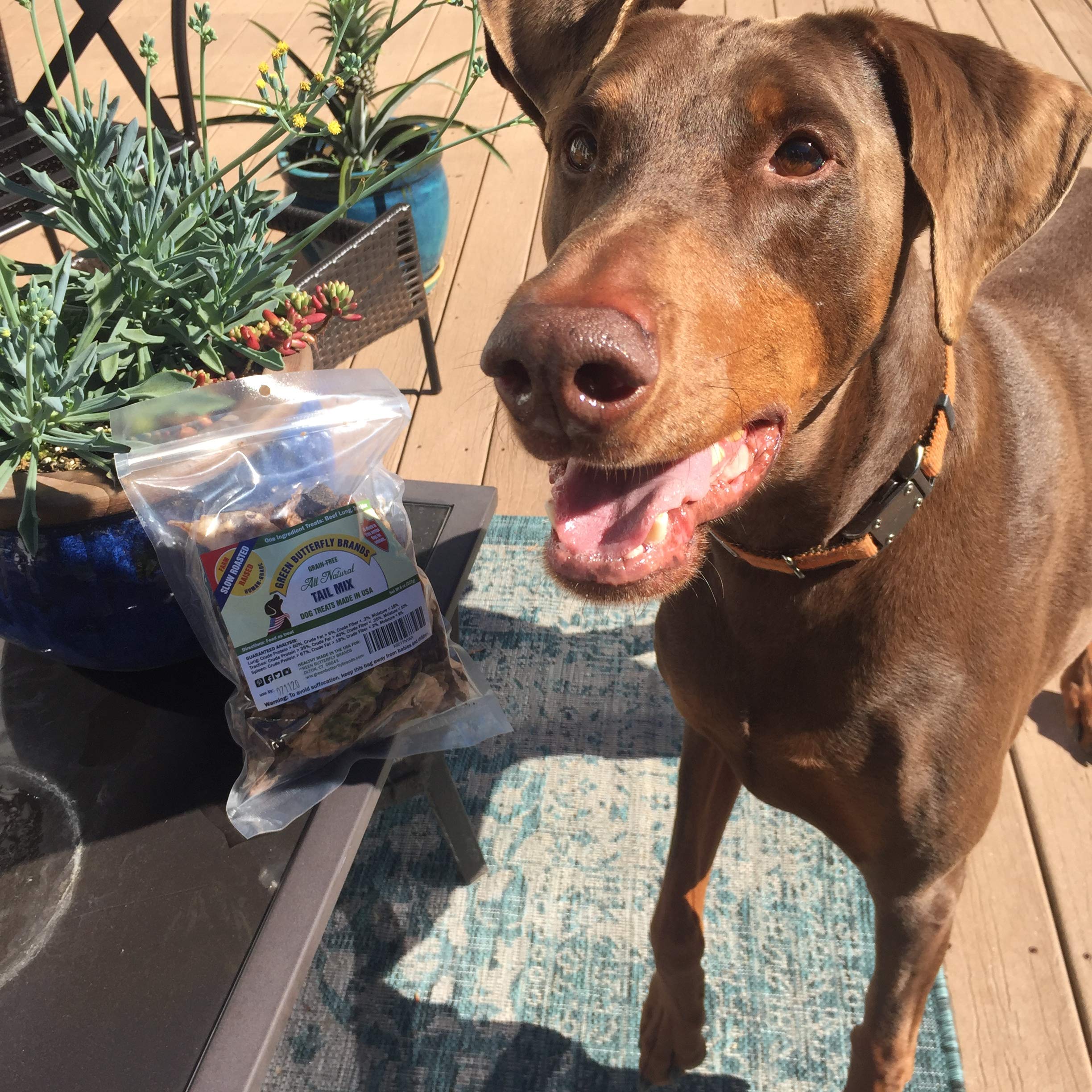 Green Butterfly Brands Tail Mix low-fat, fully digestible treats for dogs.