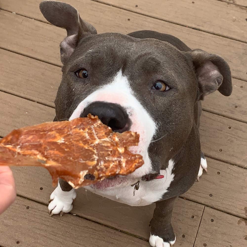 Green Butterfly Brands USA-made jerky supports veteran service dog training.