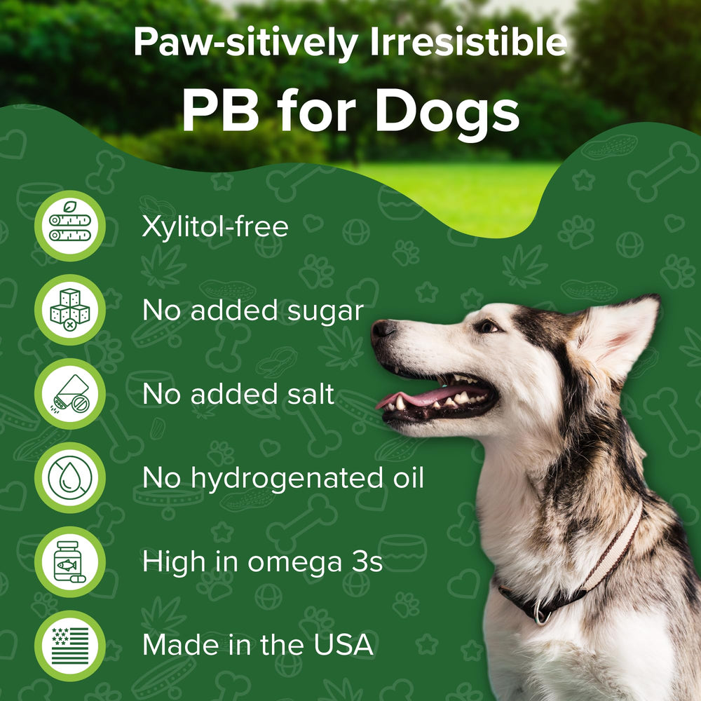 Green Coast Pet dog-training-reward-treat image highlights versatile use during playtime