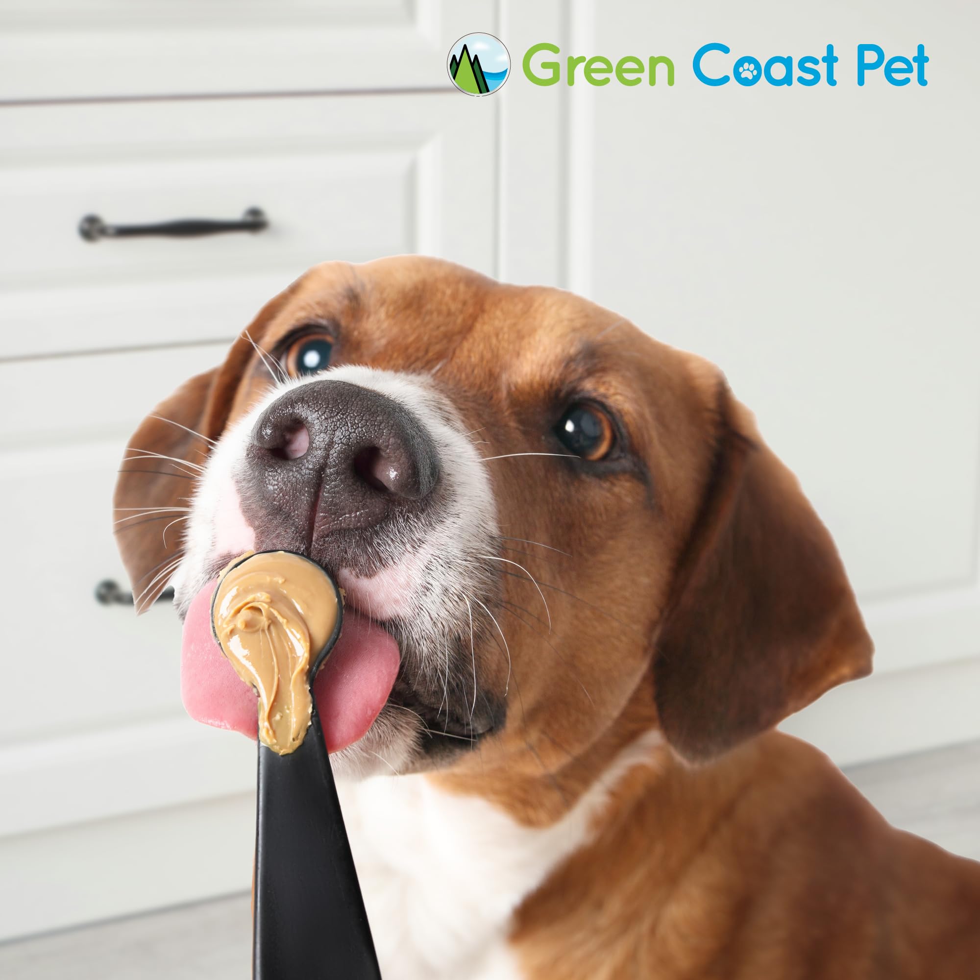 Green Coast Pet flaxseed-closeup highlights natural fiber supporting digestion and flavor