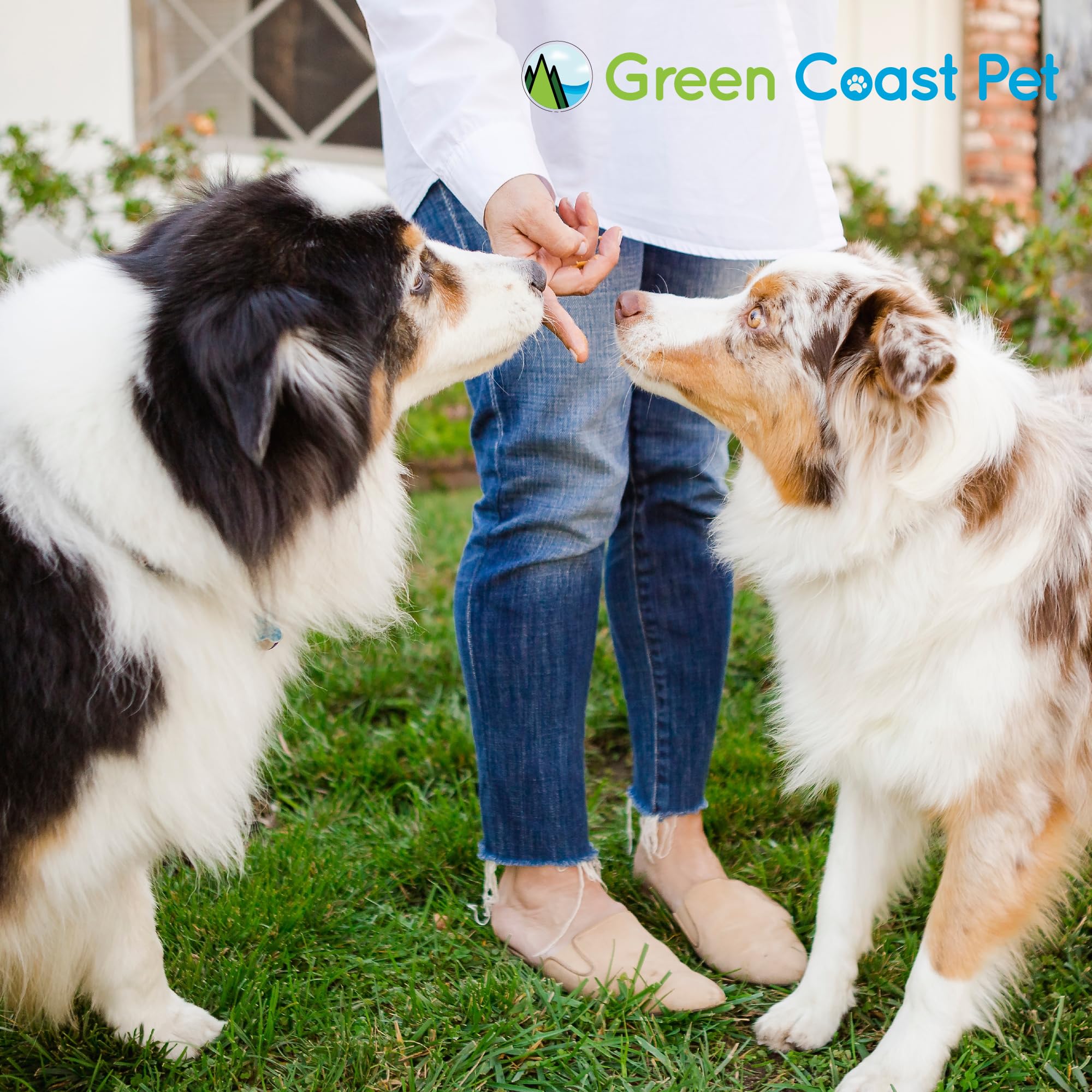 Green Coast Pet spread-on-lick-mat image demonstrates easy use for interactive feeding