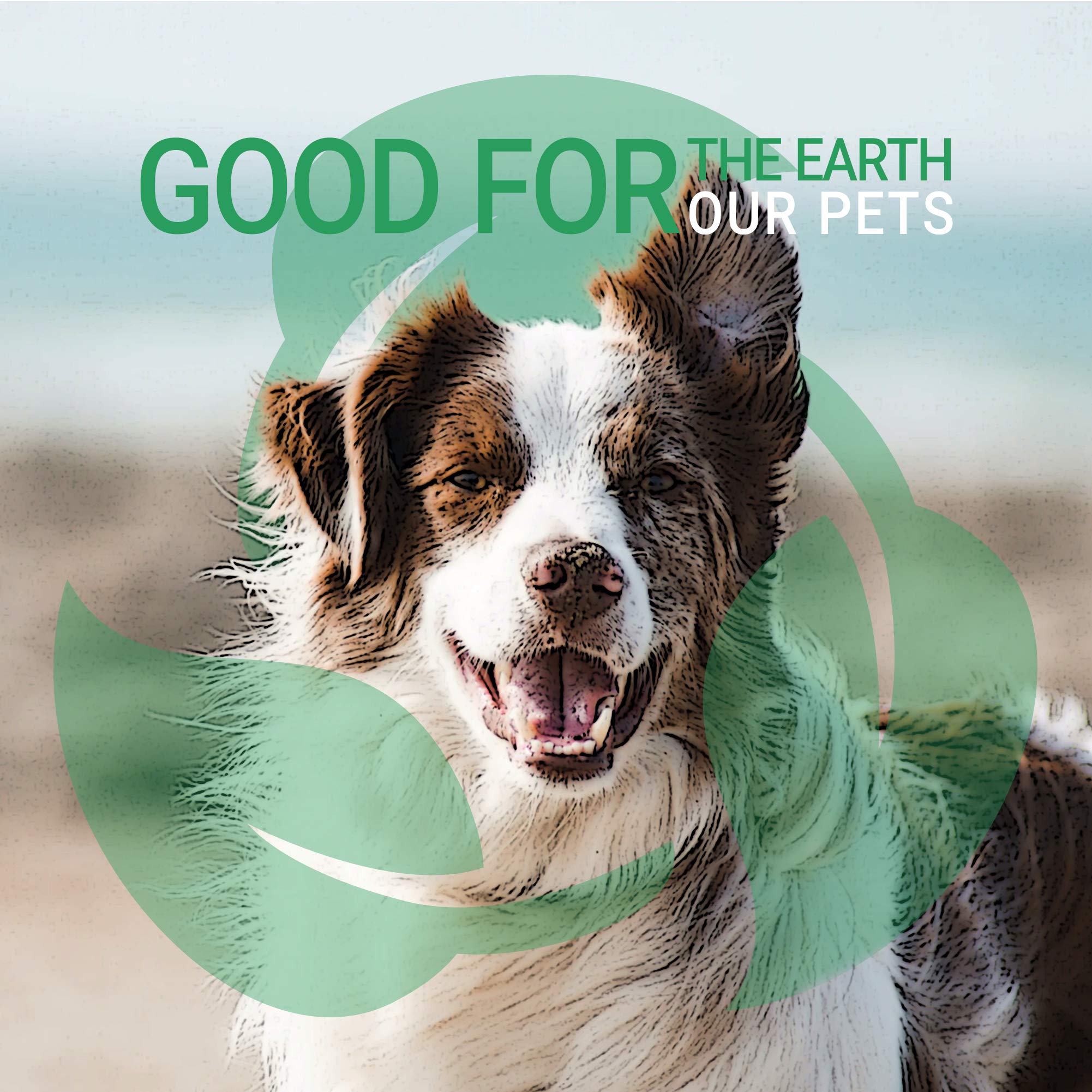 GreenGroom biodegradable packaging showcases eco-friendly design.