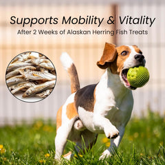 green paws herring treats Alaska origin seal emphasizes wild-caught premium protein