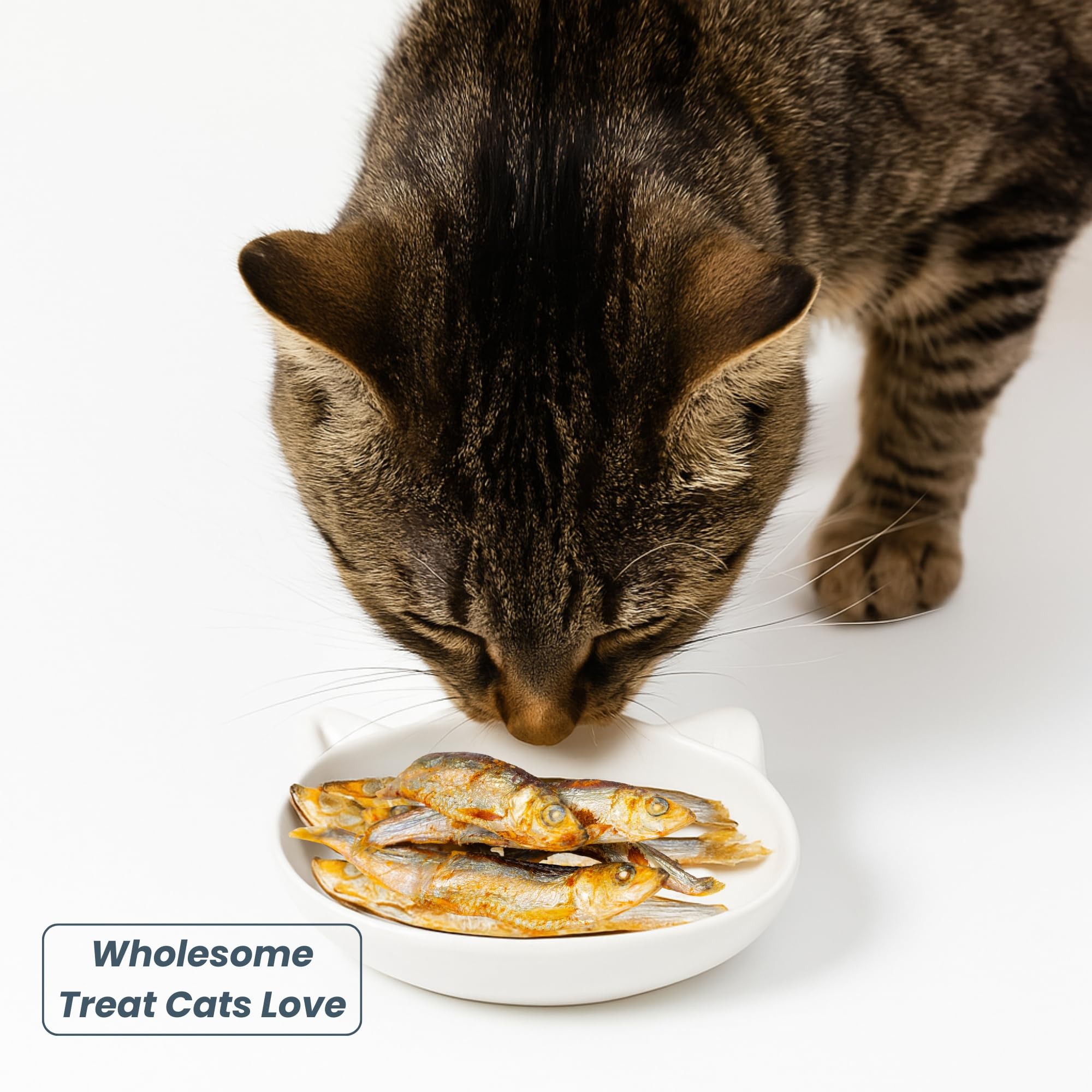 green paws training rewards herring treats quick-dispense image for positive reinforcement