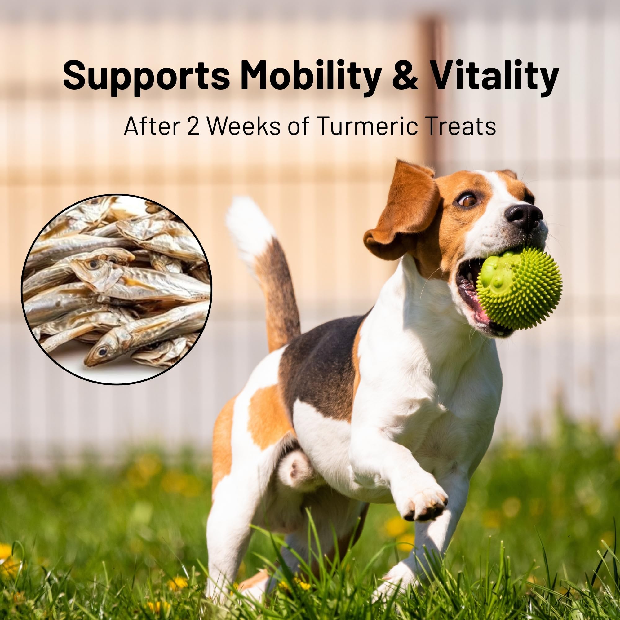 green paws omega-3 rich snack image supports healthy skin and coat benefits.
