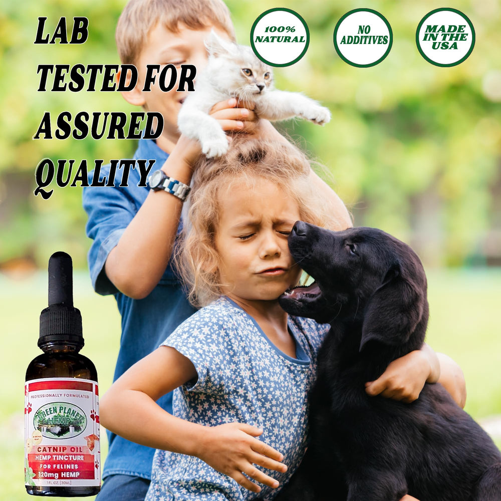 Green Planet Hemp pet oil dog calm for anxiety relief