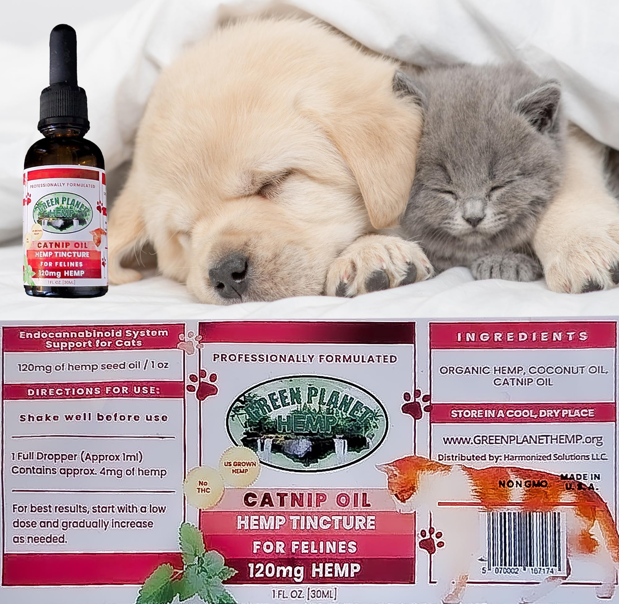 Green Planet Hemp pet oil hip and joint support