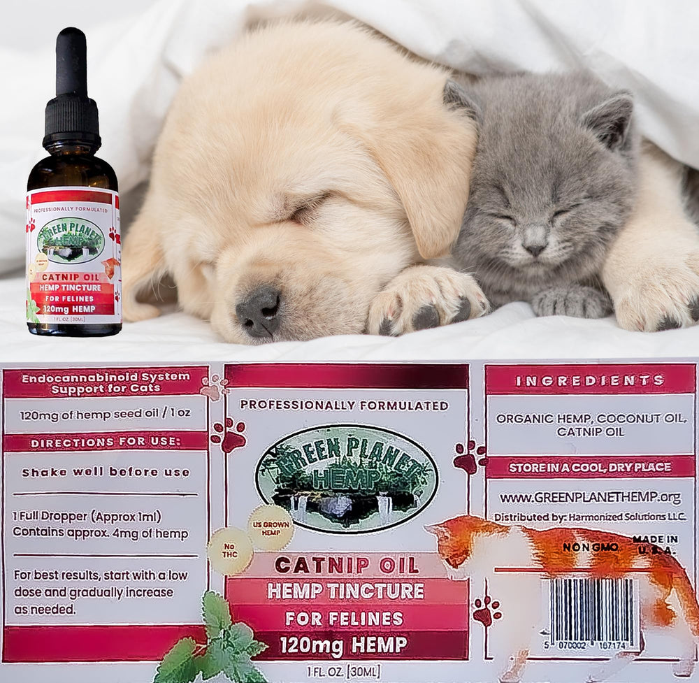 Green Planet Hemp pet oil hip and joint support