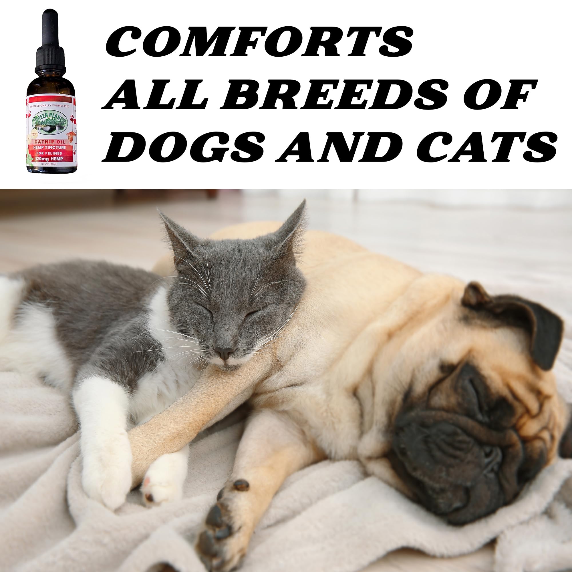 Green Planet Hemp pet oil ingredients show omega fatty acids for coat health