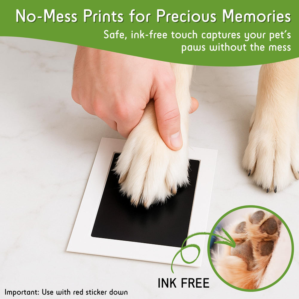 Green Pollywog clean-touch inkpad usage shot highlighting quick, mess-free paw prints.