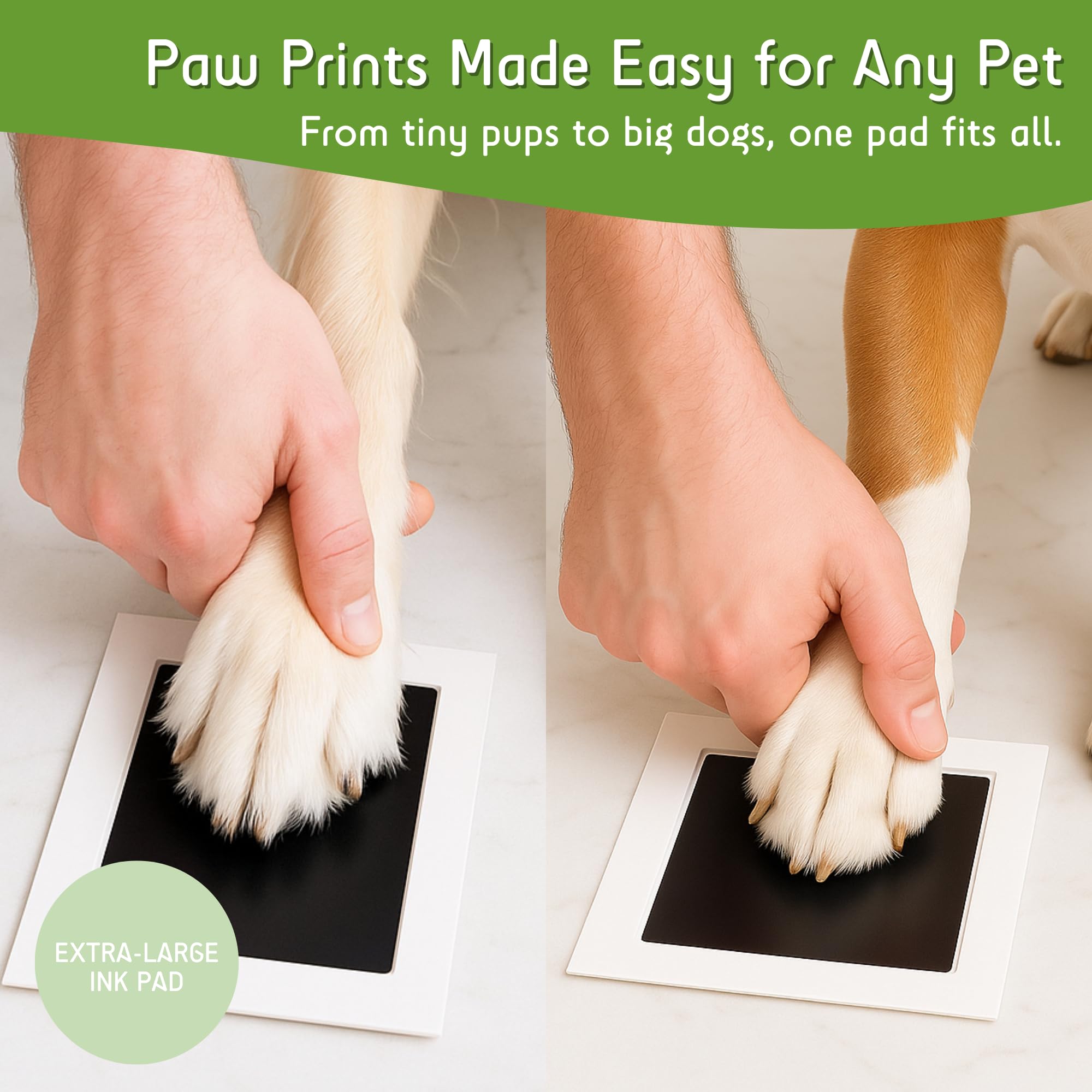 Green Pollywog inkpad mess-free design showcases stress-free stamping.