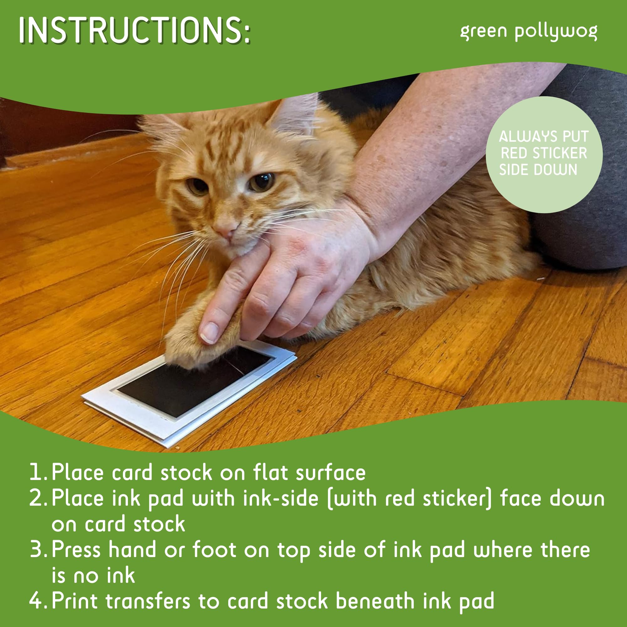 Green Pollywog instruction-card inside highlights simple steps for crisp prints.