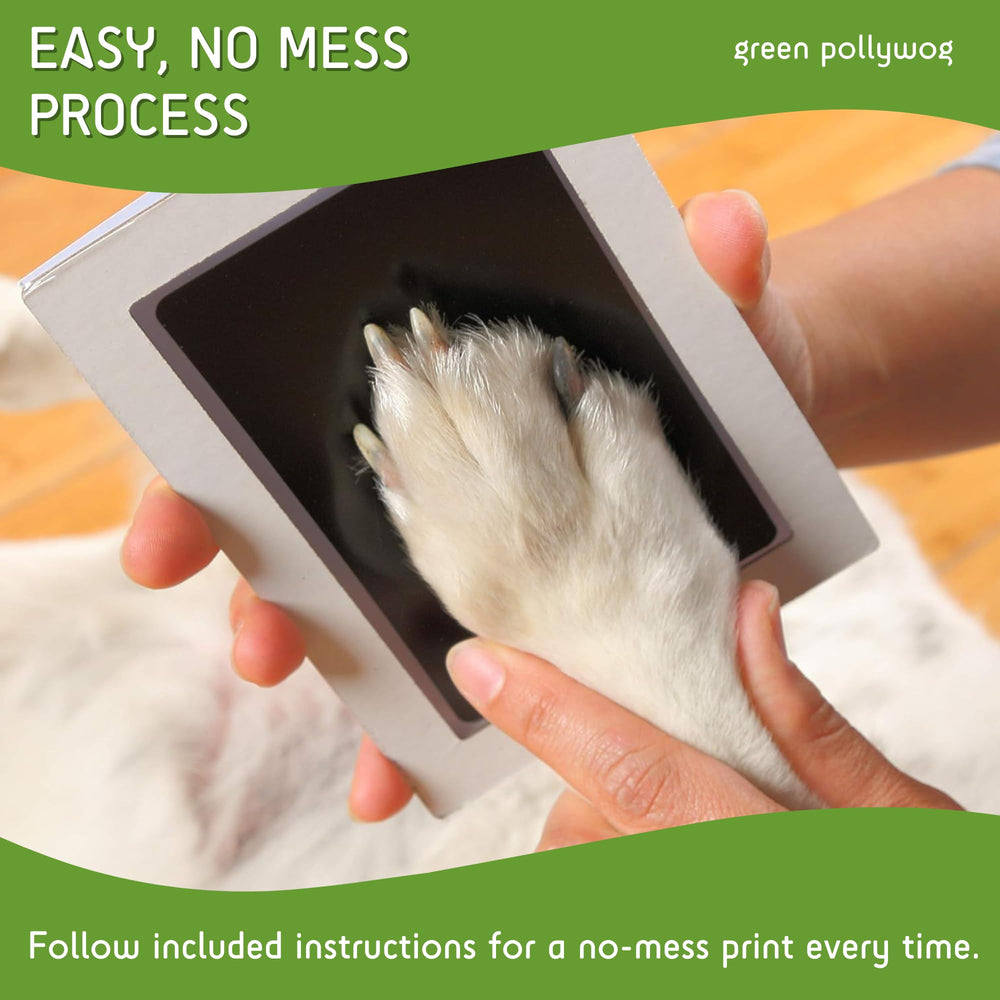 Green Pollywog large imprint area suitable for big or small pets.