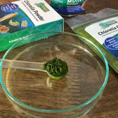 GREEN WATER FARM chlorella powder container sealed for easy room-temperature storage